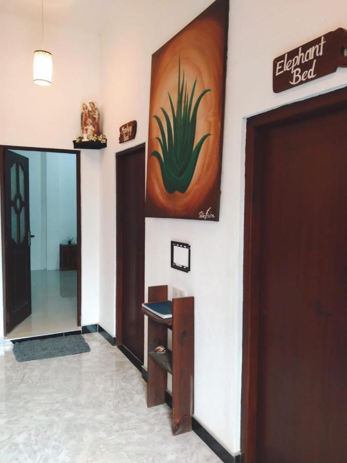Aloevera Villa Негомбо Екстериор снимка